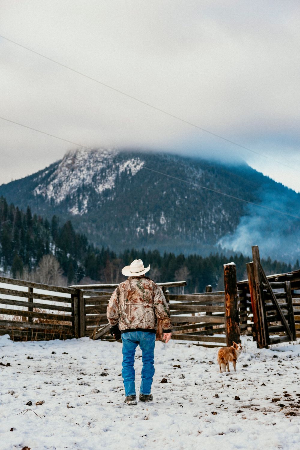 D50A4727-4a80022f-1000